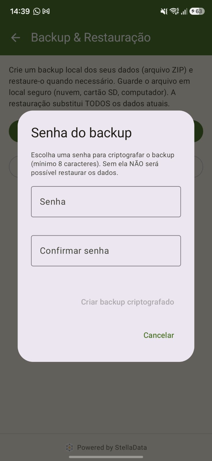 Backup Criptografado